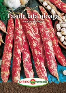 Fasole lata oloaga Borlotto Red