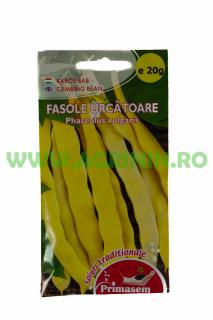 Fasole - Maxidor