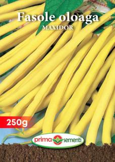 Fasole oloaga Maxidor