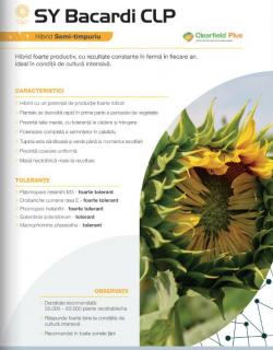 Floarea Soarelui Syngenta Bacardi (sac 150000 seminte)