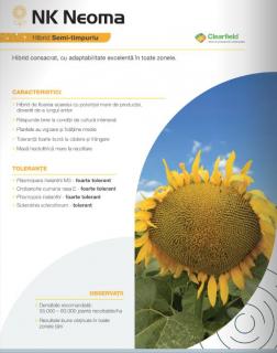 Floarea Soarelui Syngenta Neoma (sac 150000 seminte)