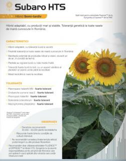 Floarea Soarelui Syngenta Subaro HTS (sac 150000 seminte)