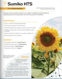 Floarea Soarelui Syngenta Sumiko HTS (sac 150000 seminte)