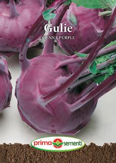 Gulie Vienna Purple 5g