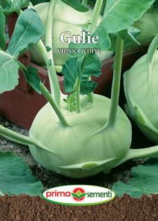 Gulie Vienna White