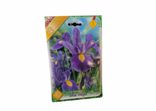 Iris Blue Magic