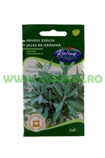 Jales de gradina  Salvie