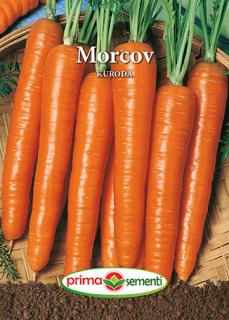 Morcov Kuroda 5g