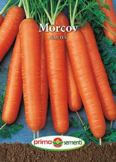 Morcov Nantes 5g