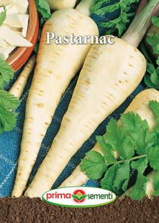 Pastarnac