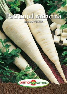 Patrunjel radacina- Bardowicker