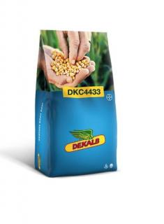 Porumb Dekalb 4433 (80000 boabe - FAO 350-390)