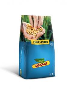 Porumb Dekalb 4908 (80000 boabe - FAO 350-390)
