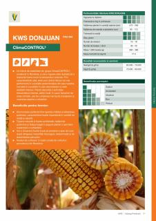 Porumb Kws DONJUAN (50 000 boabe- FAO 400)