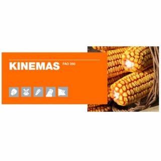 Porumb Kws Kinemas (25000 boabe - FAO 350)