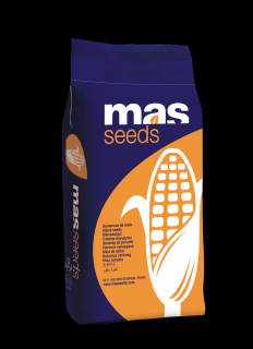 Porumb Maisadour MAS 37C ( 50 000 boabe- FAO 370)
