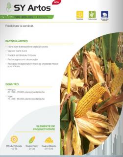 Porumb Syngenta Artos (50 000 boabe- FAO 320)