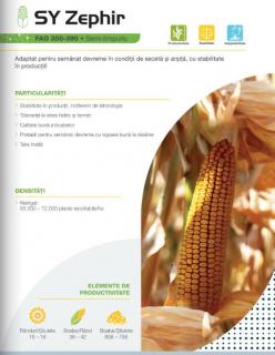 Porumb Syngenta Zephir (50000 boabe - FAO 380)