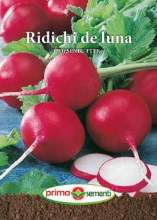 Ridichi de luna Riesenbutter