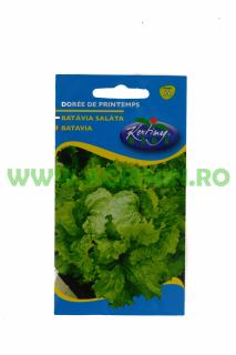 Salata Batavia Doree de printemps 2g
