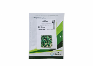 Seminis Castraveti Levina Hibrid 250 SEM