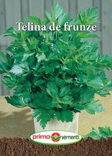 Telina de frunze