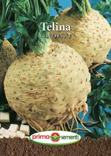 Telina Giant Prague 2g
