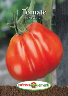 Tomate Canestrino - 0.3g