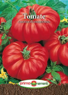 Tomate Costoluto Fiorentino
