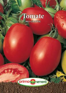 Tomate Rio Grande