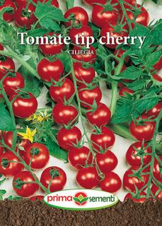 Tomate tip cherry Ciliegia