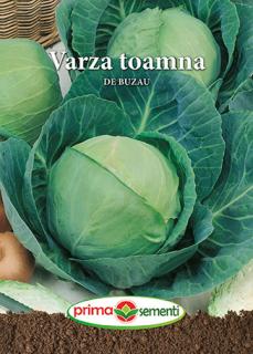 Varza de Toamna de Buzau