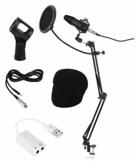 Microfon profesional cu condensator de studio si suport de prindere pe  birou