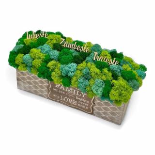 Aranjament decorativ cu licheni si mesaje motivationale, tip jardiniera , personalizabil cromatic, in cutie de lemn ,cu licheni stabilizati  (Verde)