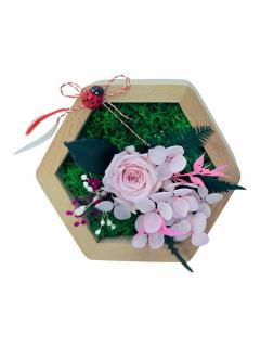 Aranjament floral hexagon cu licheni , mini roza si plante criogenate (Roz)