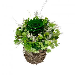 Aranjament floral mic cu licheni, trandafir si plante naturale criogenate si stabilizate in scoarta mesteacan