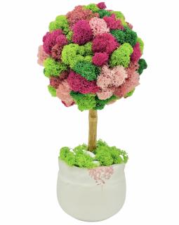 Aranjament floral personalizabil, mic 27 cm, tip copacel   pomisor cu licheni naturali stabilizati in vas ceramic (Multicolor)