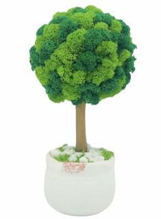 Aranjament floral tip Copacel   Pomisor cu licheni naturali stabilizati si plante naturale criogenate si uscate, Eventissimi, Verde, 28 cm, vaza ceramica, personalizabil