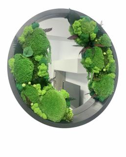 Oglinda decorativa rotunda cu muschi, licheni si plante criogenate, 51 cm (Verde)