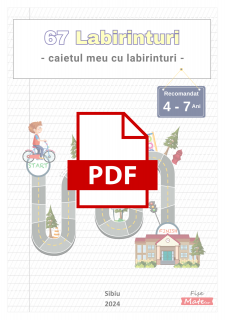 PDF - Caietul meu cu labirinturi   67 Labirinturi