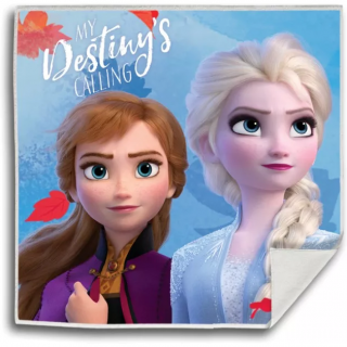 Prosopel magic Frozen My Destiny is Calling 30x30 cm SunCity EWA21066WDD