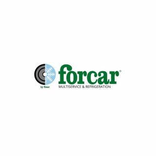Caseta aluat 515 x 310 x 175(h) mm