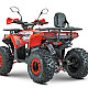 ATV RDB AY125, 125cc, 4 Timpi