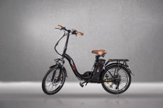 Bicicleta electrica pliabila RKS GT25, 250W, LI-ION 36V 7.8AH,Negru