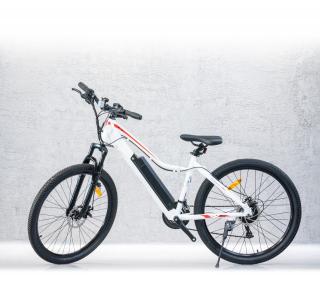 Bicicleta electrica RKS T7, Negru, 25 km h, 36V, 21 viteze, Negru