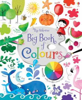 Carte   Big Book of Colours  , cartonata, Usborne