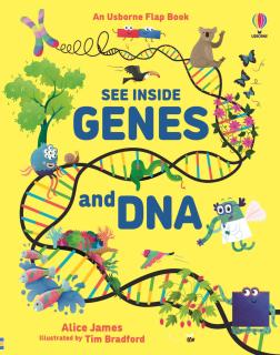 Carte cu clapete   See Inside Genes and DNA  , cartonata, Usborne