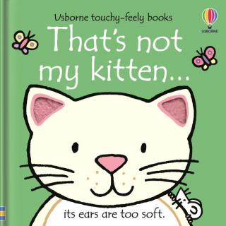 Carte senzoriala cu texturi   That s not my kitten  , cartonata, margini argintii, Usborne