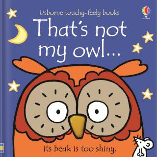 Carte senzoriala cu texturi   That s not my owl  , cartonata, Usborne