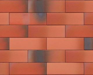 Placaj Ceramic Klinker Armis Hansa Red 215 x 65 x 14mm